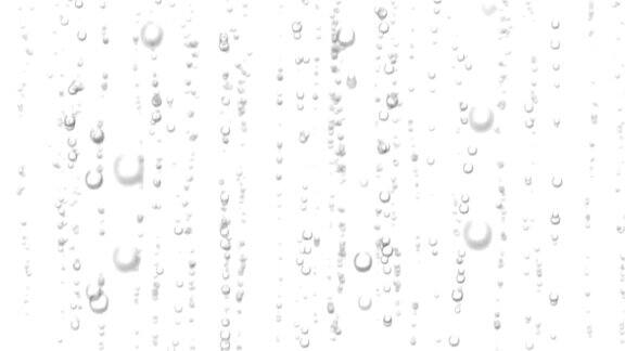 美丽的3d动画的水气泡上升可循环的苏打水在白色和黑色的背景HD1080