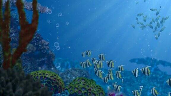 蓝色海洋礁和鱼