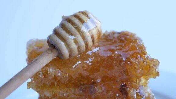 天然蜂蜜蜂巢可以吃了浓蜜顺着蜂房流下