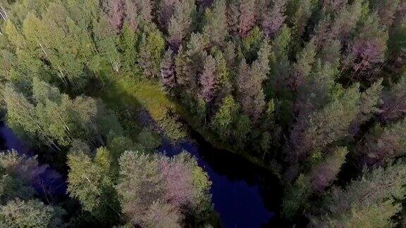 斯堪的纳维亚的荒野湖