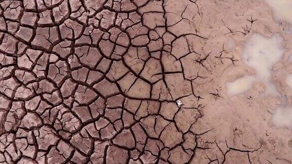 地面的特写镜头由于缺水而显得干燥