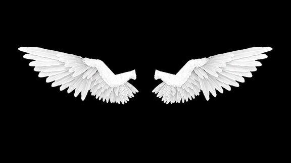 白色天使翅膀在黑色背景下展开