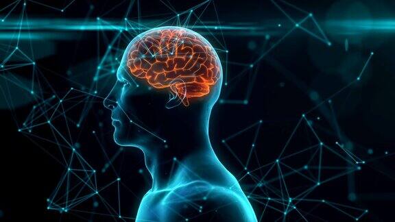神经元活动旋转蓝色概念人脑的三维动画无缝循环