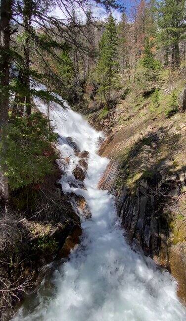 加拿大阿尔伯塔省沃特顿湖国家公园的下伯莎瀑布