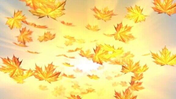 秋叶飘落晴天