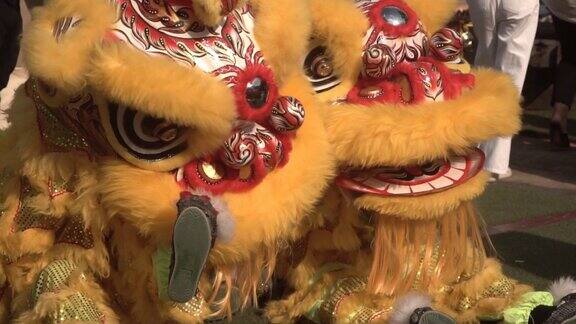 中国舞狮表演农历新年喜庆