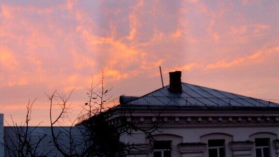 房子的屋顶和粉红色的黎明
