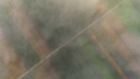 雾漂浮在耕地上