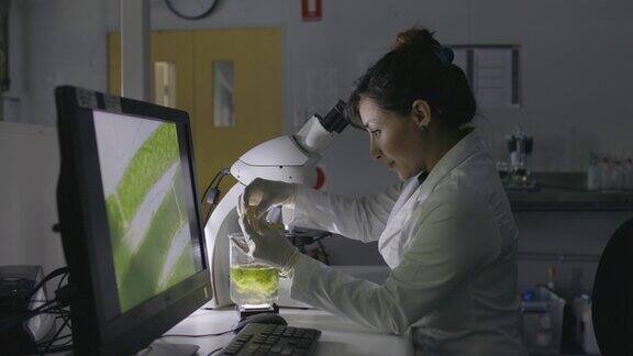 在实验室工作的微生物学家