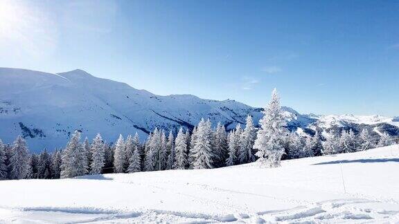 滑雪缆车站和美丽的白雪皑皑的冷杉林