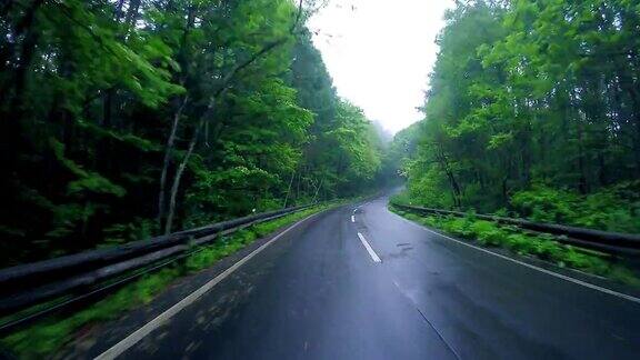 在热带雨林的乡村公路上行驶