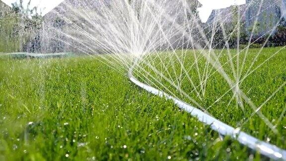 喷水和飞溅的特写用软管浇灌草坪自动园林灌溉系统浇灌草坪用于灌溉和维护草坪、园艺的自动设备
