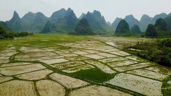 中国桂林喀斯特山脉稻田的航拍视频
