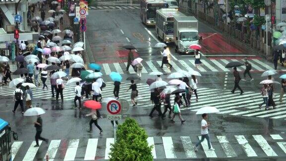 东京涉谷十字路口的雨天