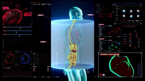 放大和扫描人体蓝色x射线光数字显示