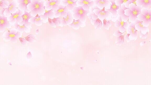 花朵在粉红色的背景上绽放