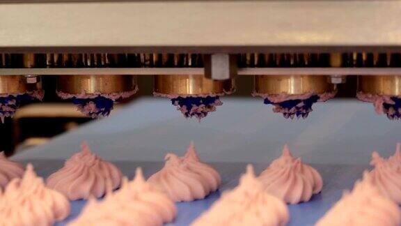 自动传送带上的糕点糖果厂烘焙工艺