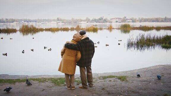 秋日一对陌生的老夫妇拥抱着站在河边鸭子和海鸥在河上漂浮