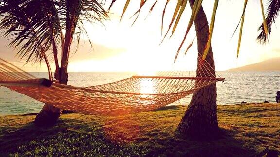 日落时分的吊床和棕榈树Instagram色调