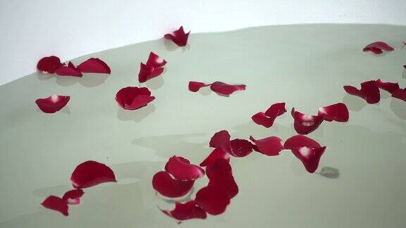 浴缸中的玫瑰花