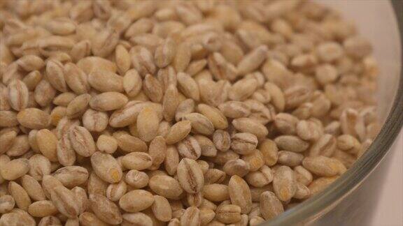 健康的大麦粒可以在细部轮作中看到