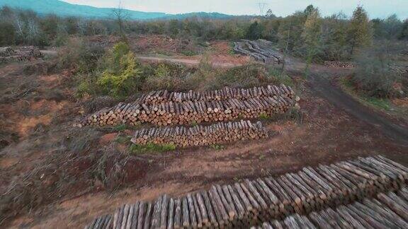 4K鸟瞰图森林采伐树木-砍伐树木-森林砍伐