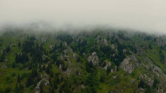 鸟瞰图雾蒙蒙的鸟瞰图绿色景观山覆盖着松树和岩石4k