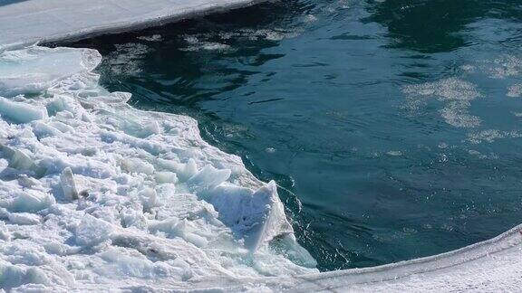 冬季阿尔泰河的急流被冰雪覆盖