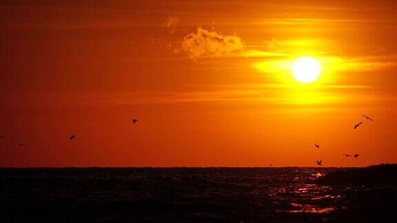 一群海鸥飞在海里捕鱼温暖的夕阳漫过海洋阳光耀眼海鸥在日落时以大海为背景以慢动作远离相机的剪影