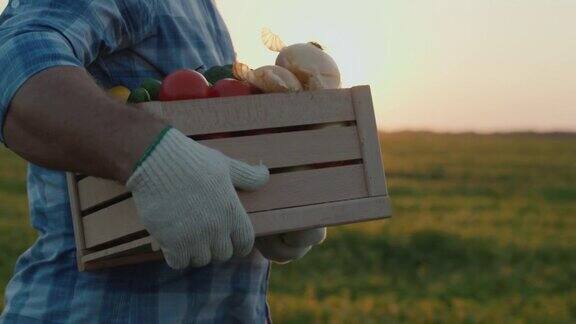 一位戴着手套的农民带着一个装着蔬菜的木箱沿着田地走