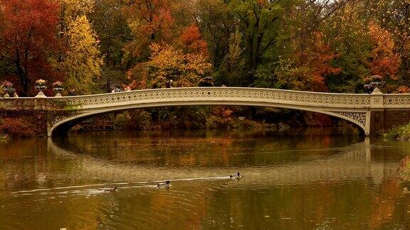 秋天的弓桥