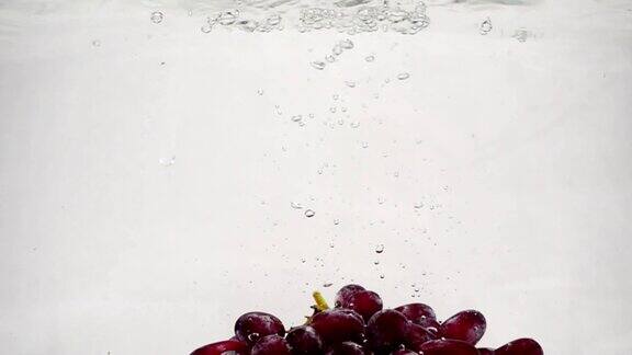 用慢镜头拍摄红葡萄一大串成熟的葡萄泡在水里