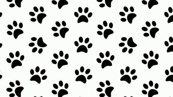 动画无缝模式与猫爪的脚垫的轮廓地上有动物的爪印点缀装饰用的设计元素毛圈的视频