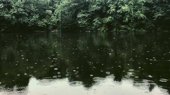 雨点慢慢地滴在湿地上