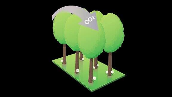 二氧化碳捕获森林和氧排放的黑色背景alpha通道(动画循环)
