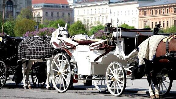 菲亚克维也纳的马车