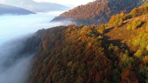 飞过秋天的森林和雾蒙蒙的山谷空中日出视图4kUHD