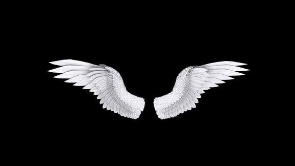 天使翅膀动画循环4K股票视频