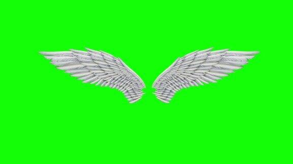 天使翅膀的动画循环