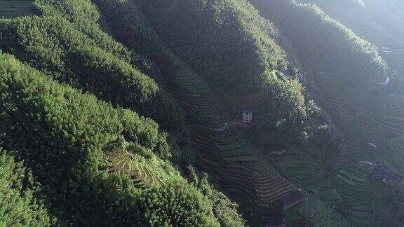 中国广西桂林龙胜的稻田