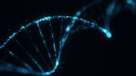 旋转DNA发光分子的病毒感染动画