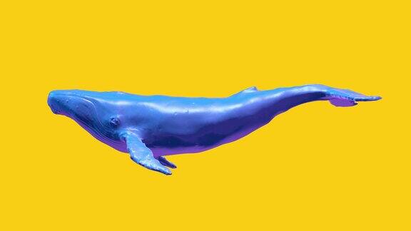 蓝鲸游泳抽象波普艺术概念逼真的3d角色动物在创造性的现代运动风格最小的图形彩色迷幻设计时尚明亮的动画