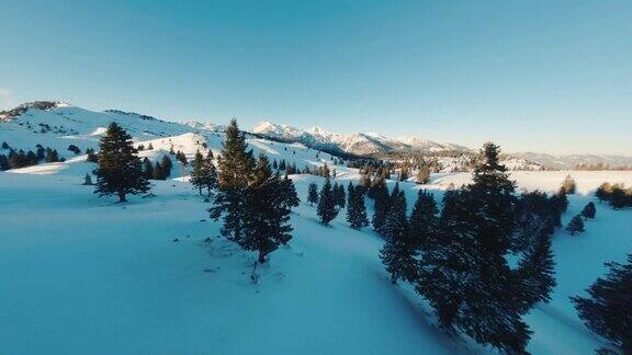 日落时分的雪山森林