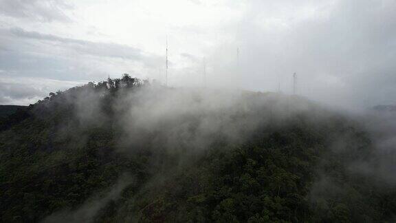 巴西米纳斯吉拉斯州云雾缭绕的山地雨林