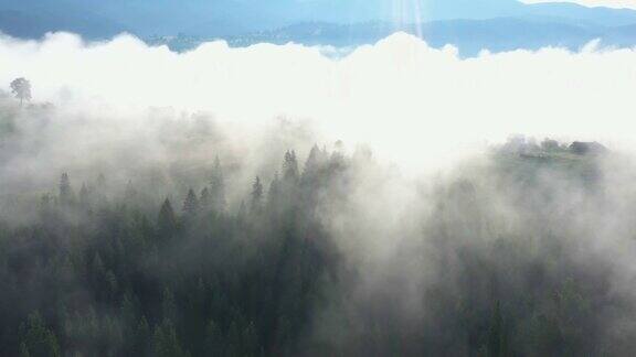 乌克兰喀尔巴阡沃罗赫塔清晨的山村云雾笼罩