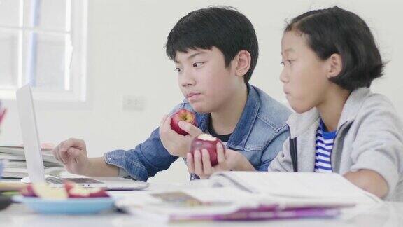 年轻的男孩们正在用电脑教和解释家庭作业两个孩子都在吃苹果还要做作业