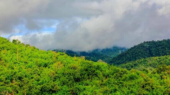 热带雨林的晨雾