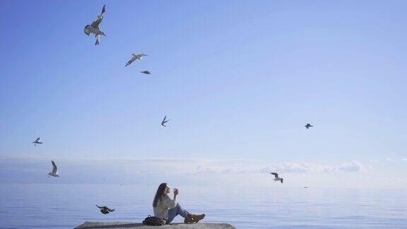 海鸥在飞翔女人坐在码头上喝咖啡