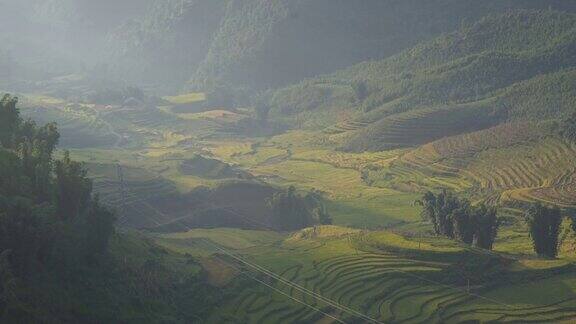 水稻梯田在越南西北部的背景翻斯盘山收获季节稻田在越南