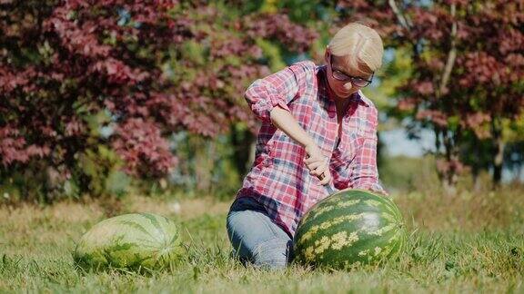 一位女农民正在切一个大西瓜坐在草地上秋收